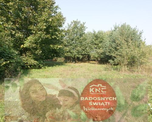 Działka 16 ar w miejsc. Gołąb pow. Lubartowski