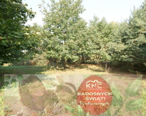 Działka 16 ar w miejsc. Gołąb pow. Lubartowski