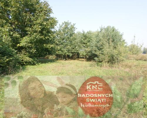 Działka 16 ar w miejsc. Gołąb pow. Lubartowski