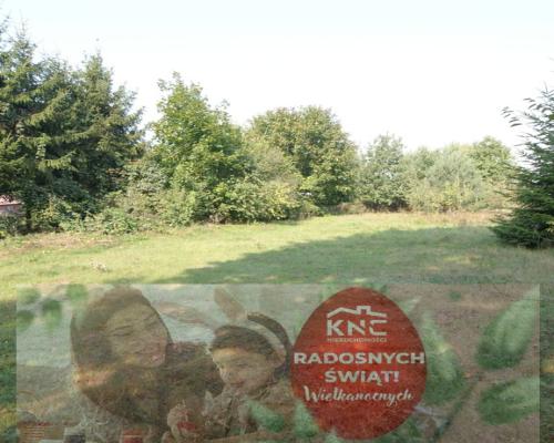 Działka 16 ar w miejsc. Gołąb pow. Lubartowski