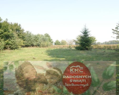 Działka 16 ar w miejsc. Gołąb pow. Lubartowski