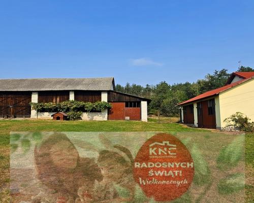 Dom na przepięknej dużej działce z własnym lasem!!