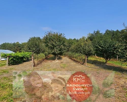 Dom na przepięknej dużej działce z własnym lasem!!