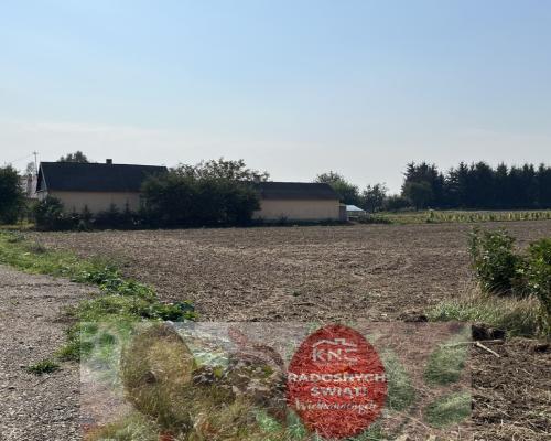 Działka rolno-budowlana 0,62 ha w Gołębiu k/Puław.