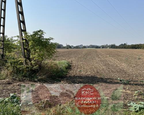 Działka rolno-budowlana 0,62 ha w Gołębiu k/Puław.