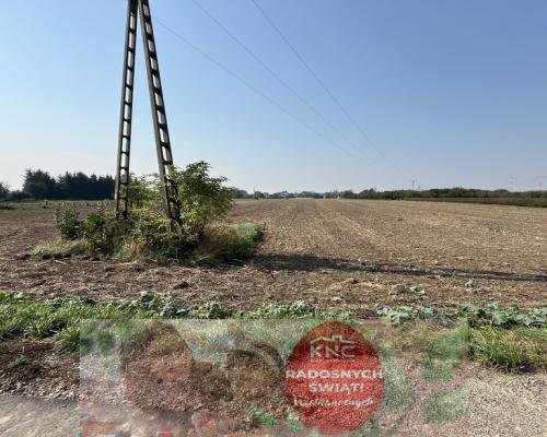 Działka rolno-budowlana 0,62 ha w Gołębiu k/Puław.