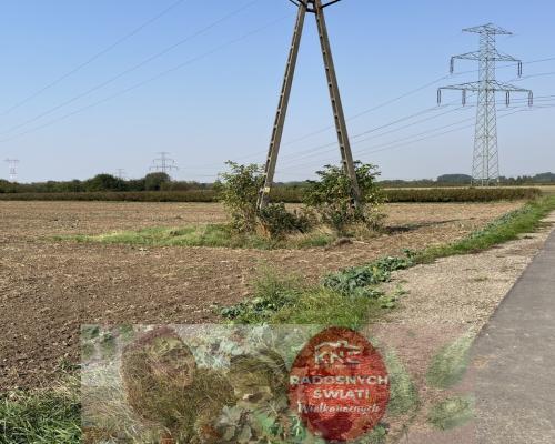 Działka rolno-budowlana 0,62 ha w Gołębiu k/Puław.