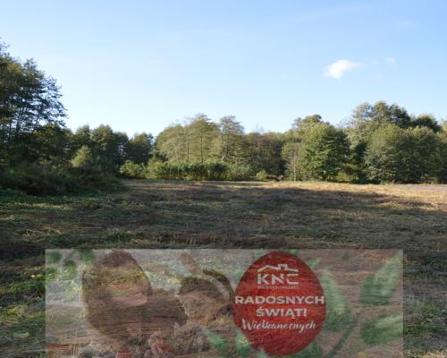 Działka Baranówka 21 a, tylko 76 zł/m2!