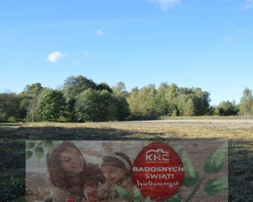 Działka Baranówka 21 a, tylko 76 zł/m2!