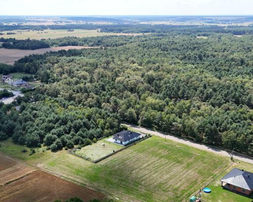 Krzepice, Dankowice-Piaski | Działka pod budowę