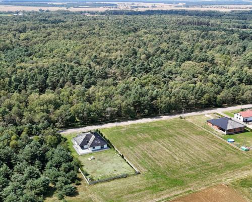 Krzepice, Dankowice-Piaski | Działka pod budowę