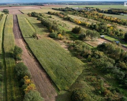 Kłobuck, ul. Cielebana | Działka budowlana