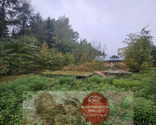 Działka, Rogóźno, 9 ar, media, Jezioro Rogóźno