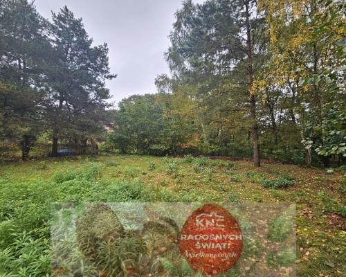 Działka, Rogóźno, 9 ar, media, Jezioro Rogóźno