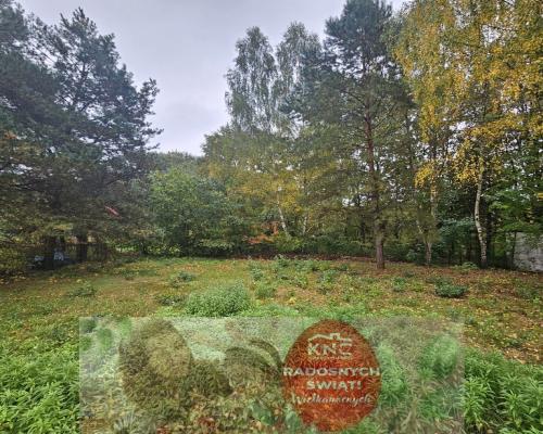 Działka, Rogóźno, 9 ar, media, Jezioro Rogóźno