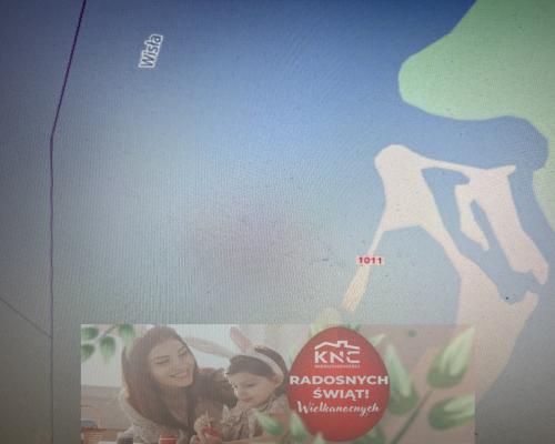 Dom drewniany do remontu na działce w Zakrzowie.