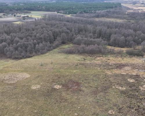 Siemkowice | Działki rolne na sprzedaż