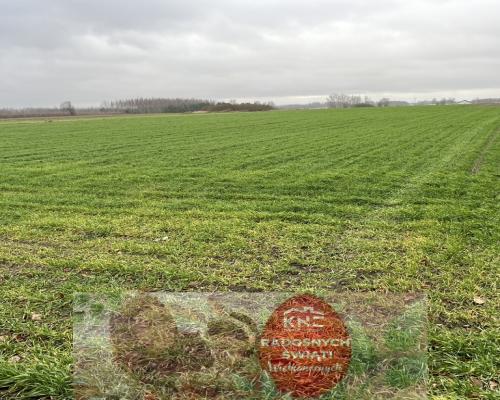 Działka budowlana gm. Przyłęk mazowieckie