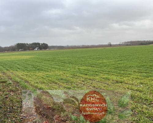 Działka budowlana gm. Przyłęk mazowieckie