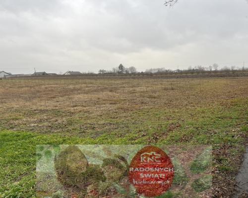 Działka budowlana gm. Przyłęk mazowieckie