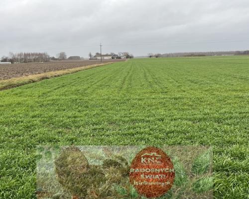 Działka budowlana gm. Przyłęk mazowieckie