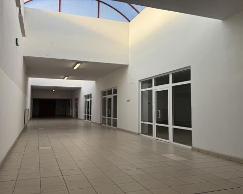 Jędrzejów, ul. Głowackiego | Lokale na wynajem