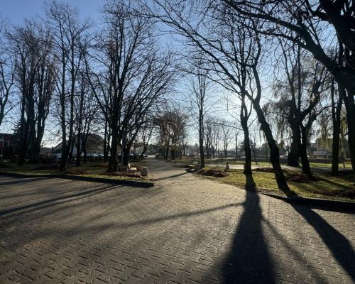 Jędrzejów, ul. Głowackiego | Lokal na wynajem