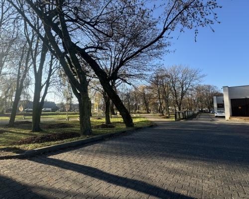 Jędrzejów, ul. Głowackiego | Lokal na wynajem