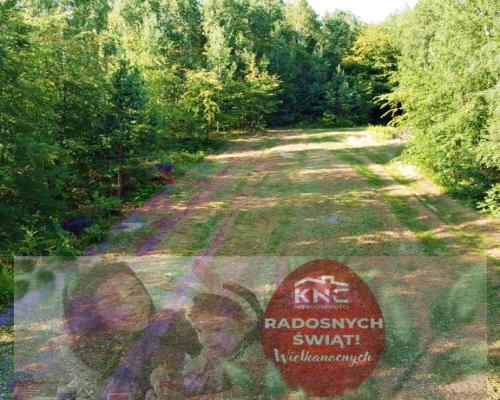 Działka w malowniczej okolicy blisko Kazimierza