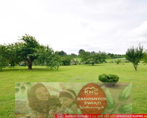 Działka dla inwestora w świetnej lokalizacji.