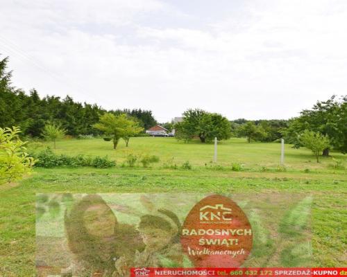 Działka dla inwestora w świetnej lokalizacji.