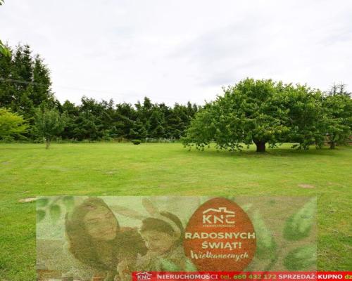 Działka dla inwestora w świetnej lokalizacji.