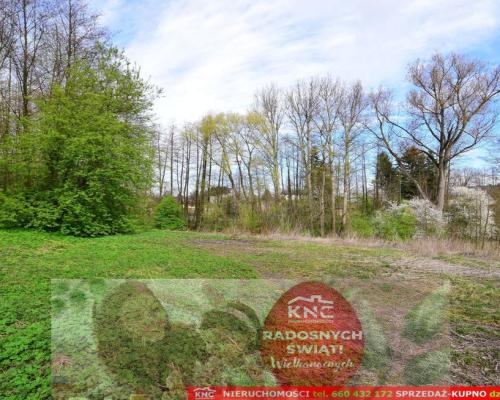 Działka dla inwestora w świetnej lokalizacji.