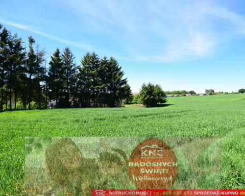 Dom/siedlisko na wsi 35 km od Lublina.