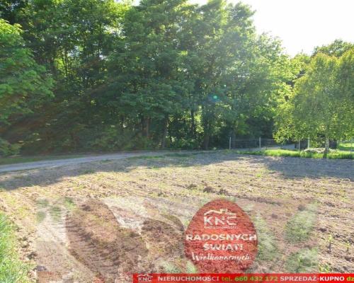 Działka rolno-budowlana bezpośrednio przy lesie.