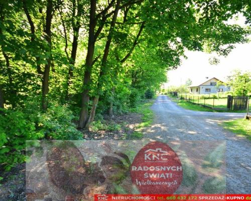 Działka rolno-budowlana bezpośrednio przy lesie.