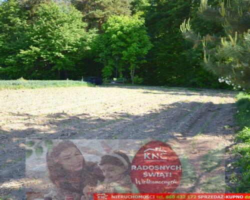 Działka rolno-budowlana bezpośrednio przy lesie.