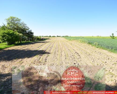 Działka rolno-budowlana bezpośrednio przy lesie.