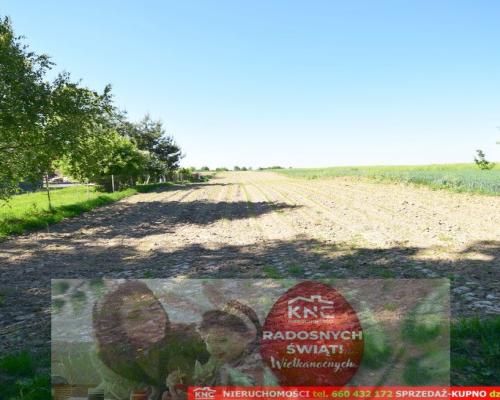 Działka rolno-budowlana bezpośrednio przy lesie.