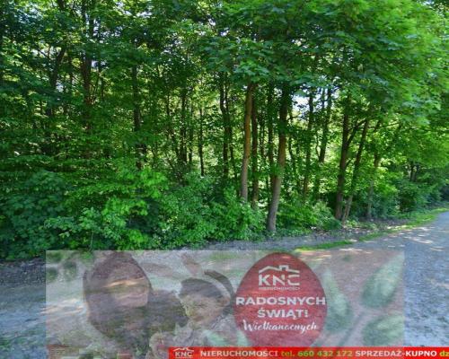 Działka rolno-budowlana bezpośrednio przy lesie.