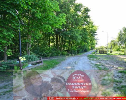 Działka rolno-budowlana bezpośrednio przy lesie.