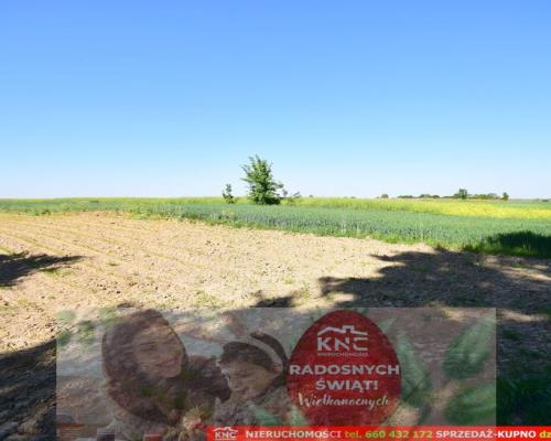 Działka rolno-budowlana bezpośrednio przy lesie.