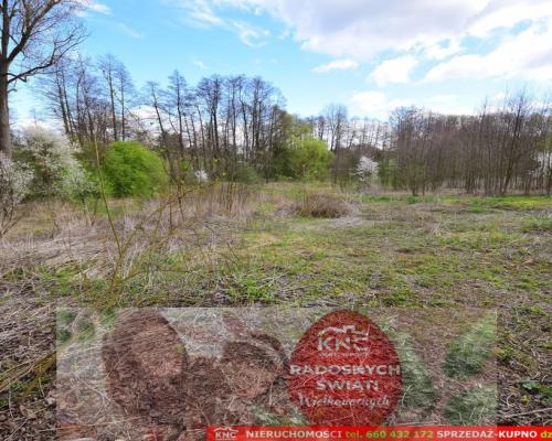 Działka o pow. 3115 m², blisko szkoła, MPK.