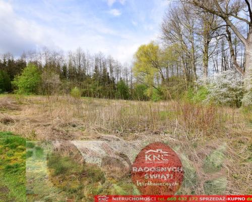 Działka o pow. 3115 m², blisko szkoła, MPK.