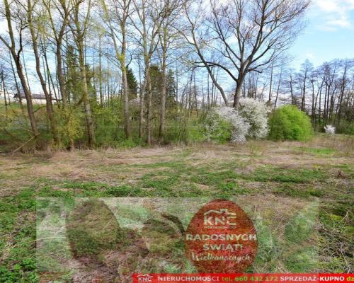 Działka o pow. 3115 m², blisko szkoła, MPK.