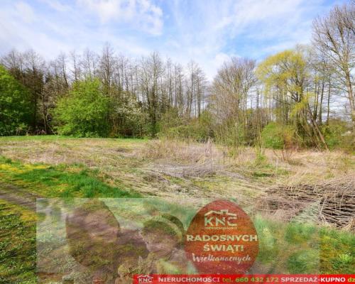 Działka o pow. 3115 m², blisko szkoła, MPK.