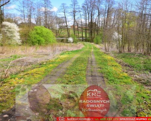 Działka o pow. 3115 m², blisko szkoła, MPK.