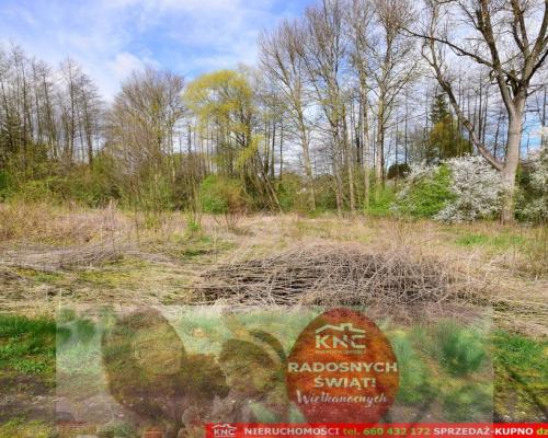 Działka o pow. 3115 m², blisko szkoła, MPK.