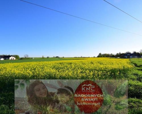 Atrakcyjne działki bud., szybki dojazd do Lublina