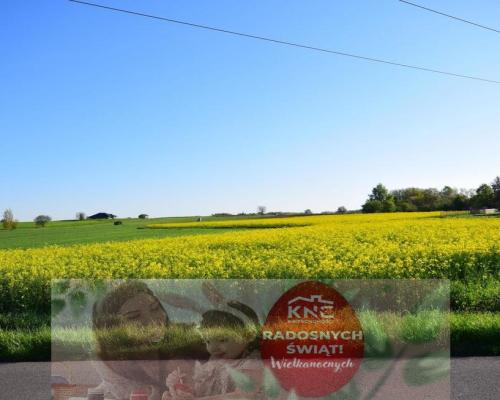 Atrakcyjne działki bud., szybki dojazd do Lublina